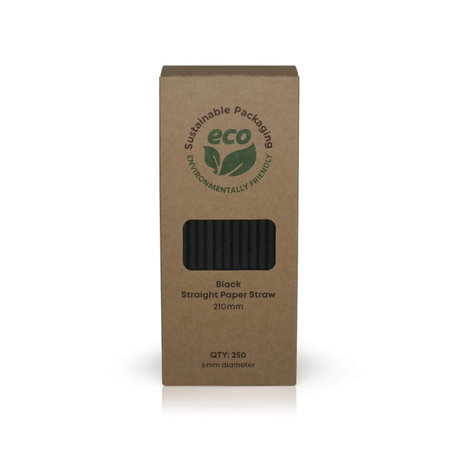 Paper Straw