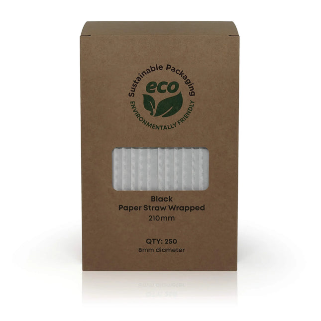 Wrapped Paper Straw - 4,000 pcs